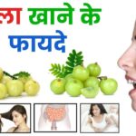 आंवला से रखें बुढ़ापा, कब्ज और हृदय रोग दूर: डॉ सरमील कुमार डाइटिशियन